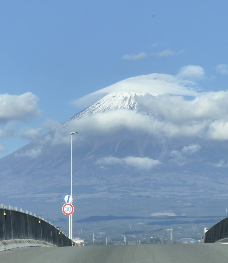 Fujisan Yume No Ōhashi Bridge