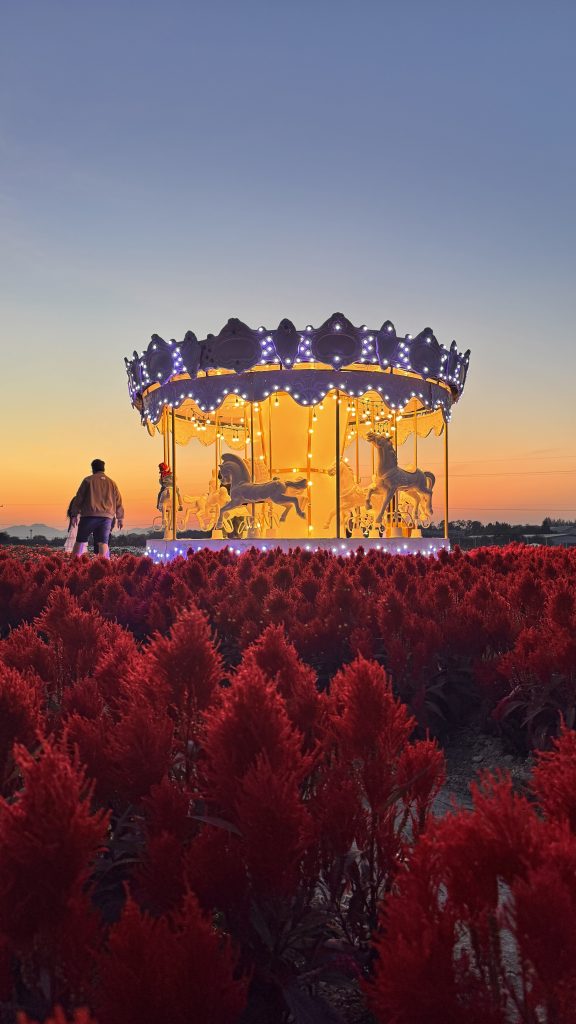 แสงสีส้มยามเย็น กับหัวใจของคนที่กำลังมองโลกไม่เหมือนกัน