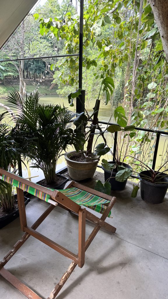 ธารน้ำริมแพ