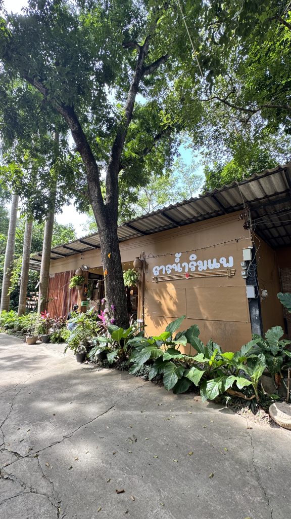 ธารน้ำริมแพ