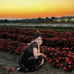 แสงเย็นเปลี่ยนความรู้สีก